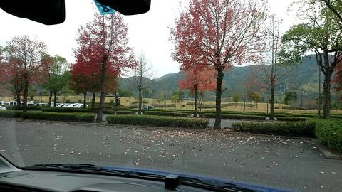 駐車場での情事