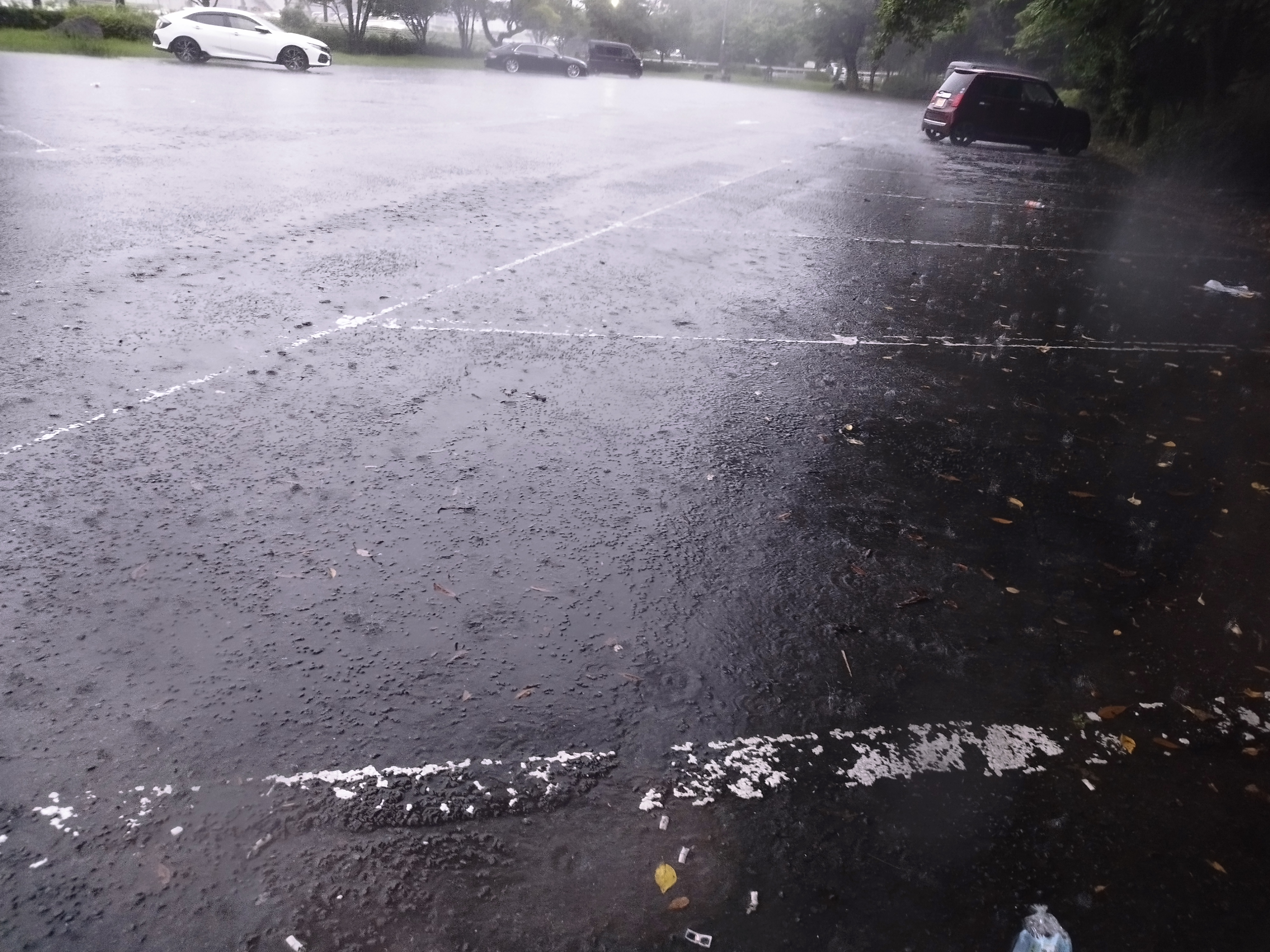 雨の駐車場