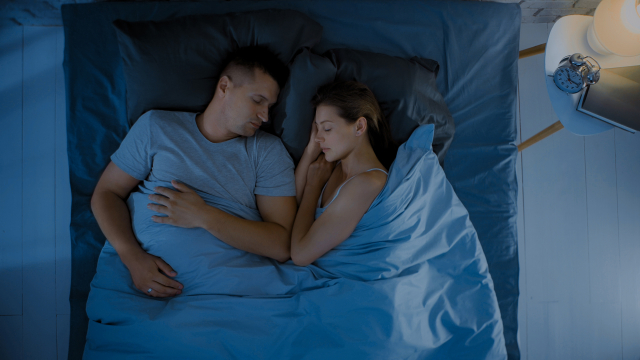 寄り添って眠る